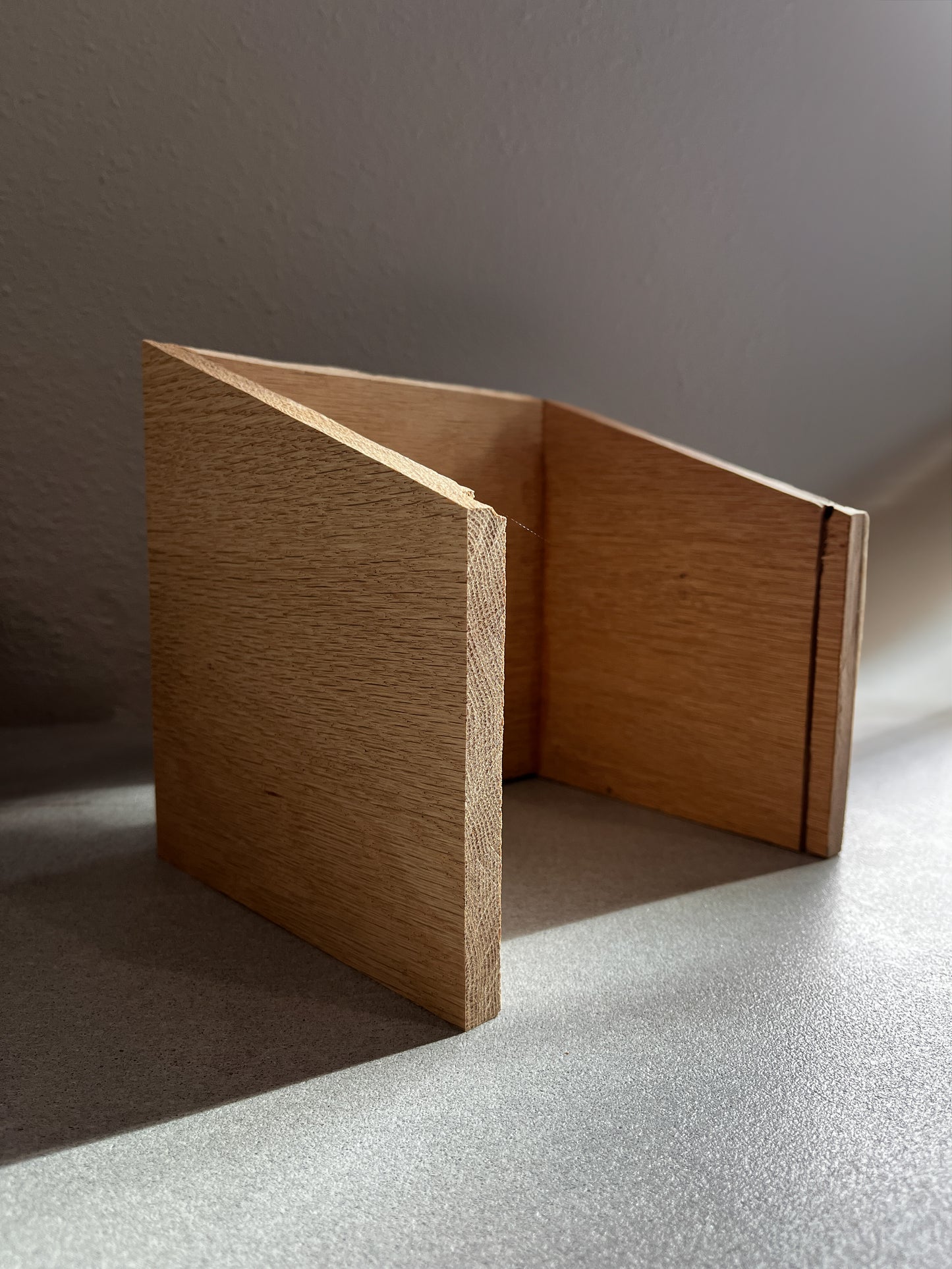 DIY Dog Treat Holder Plans – Wooden Post-Mounted Pet Treat Dispenser with Acrylic Front – Beginner Woodworking Digital Download