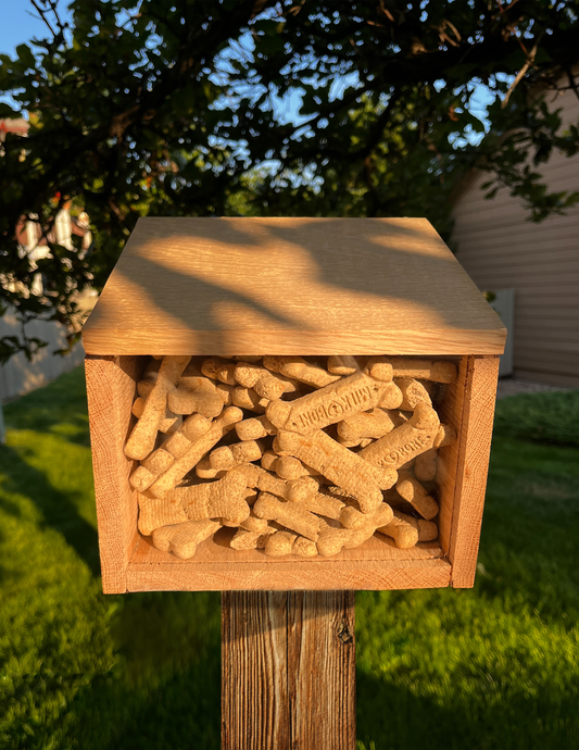 DIY Dog Treat Holder Plans – Wooden Post-Mounted Pet Treat Dispenser with Acrylic Front – Beginner Woodworking Digital Download